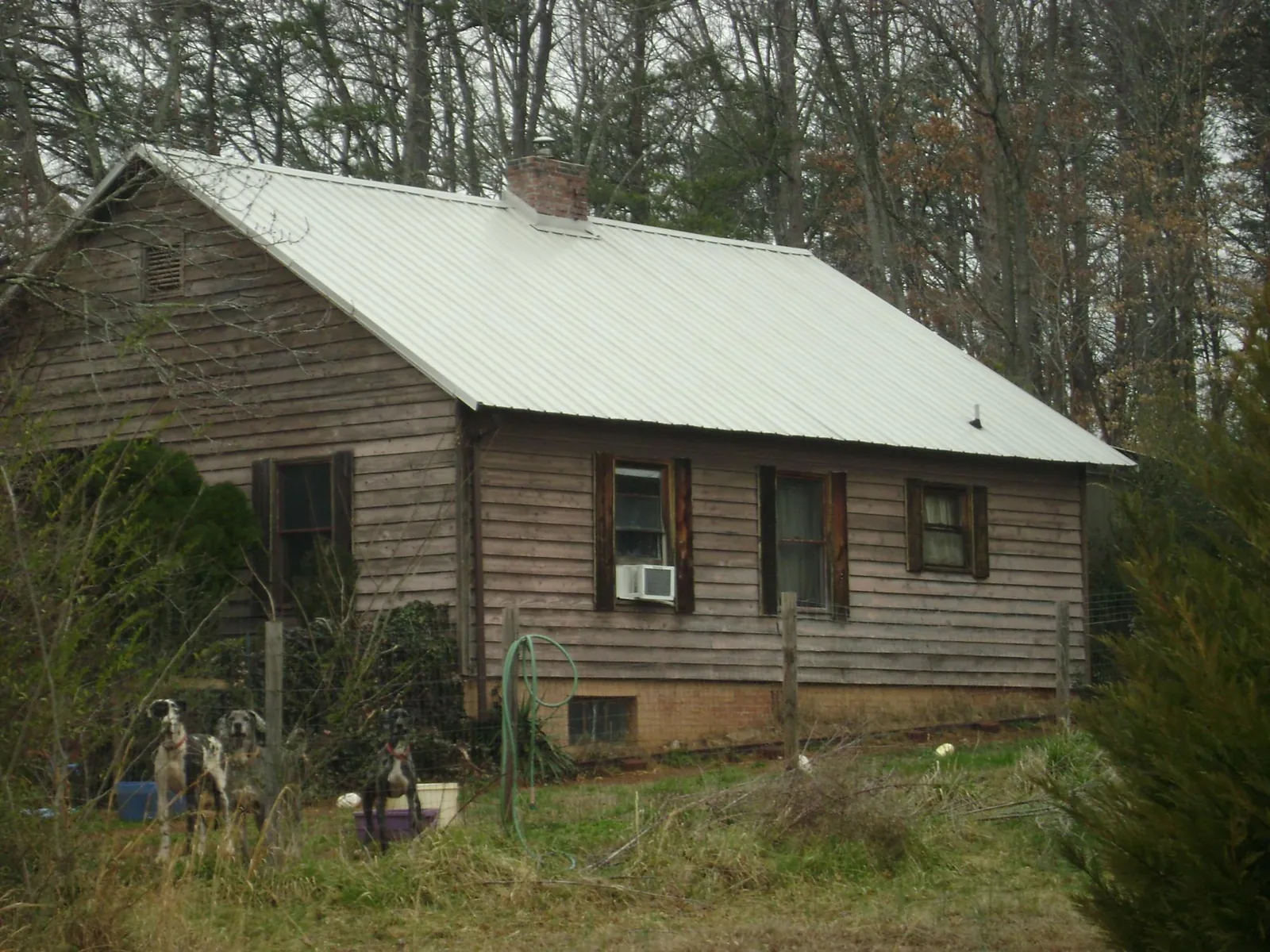 White metal roof on an old wood sided farmhouse, from a Metal Roof Installation job in George West